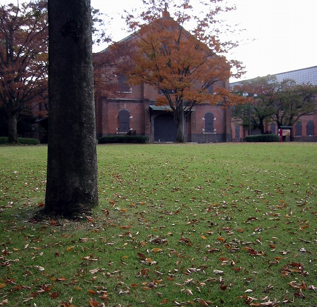 IMG_1460b.jpg