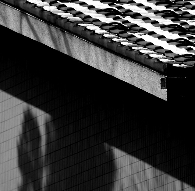 IMG_1672b.jpg